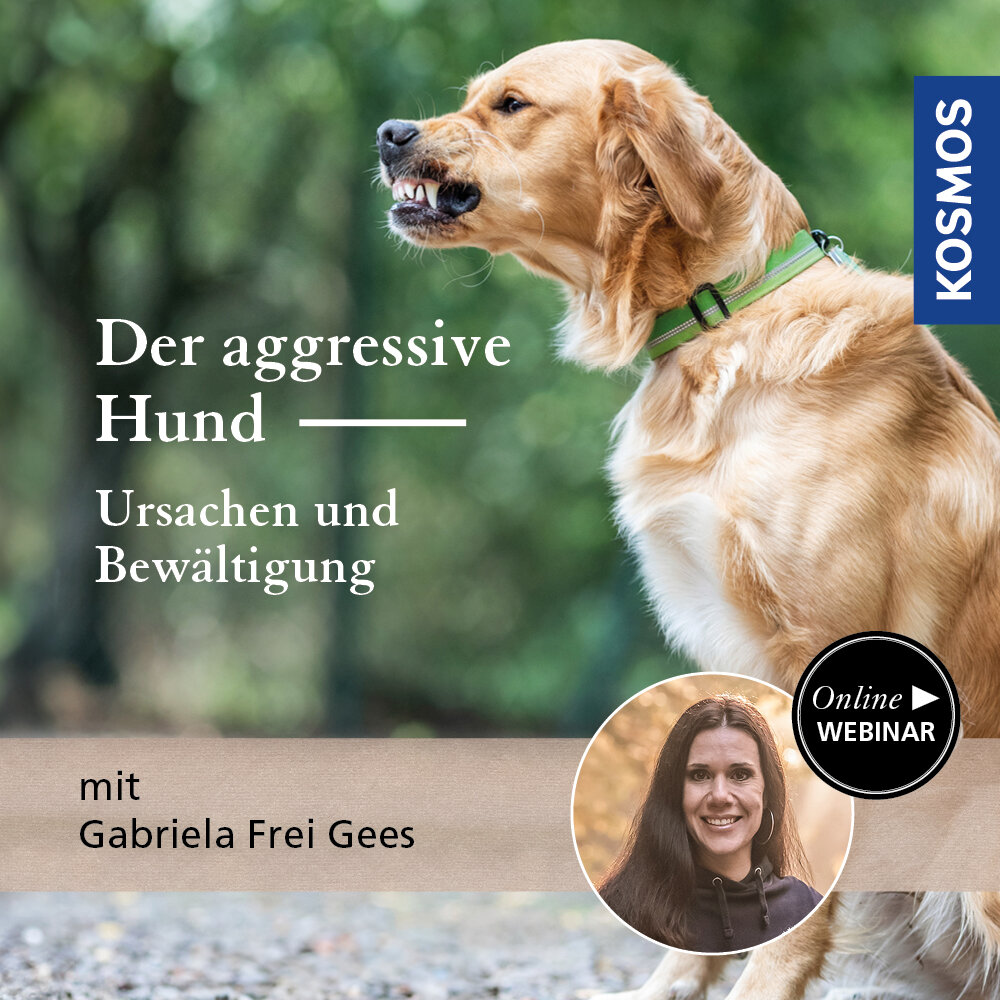 Der aggressive Hund – Ursachen und Bewältigung